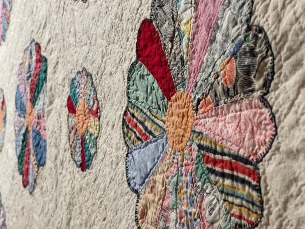 Dresden Plate Quilt - View 8