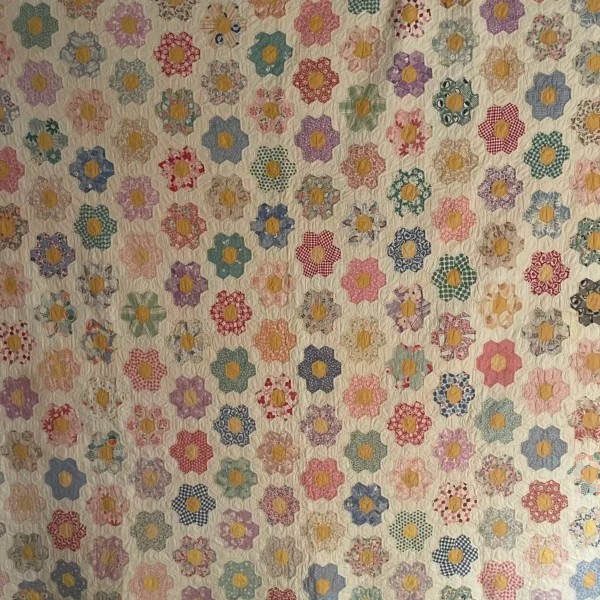IMG_4839_16_11zon Grandmothers Flower Garden Quilt III - View 14